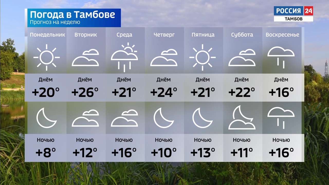 Погода на следующие 4. Какая бывает погода. Погода на 5 дней. Погода сейчас. Погода в Тамбове на декабрь 2022.