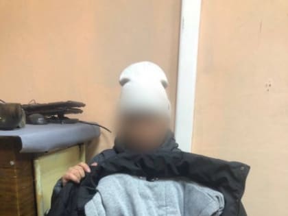 В Кызыле домработница украла у хозяев дома 100 тысяч рублей и купила себе одежду
