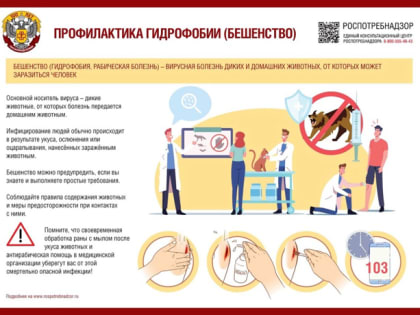 Новые инициативы по улучшению городской инфраструктуры