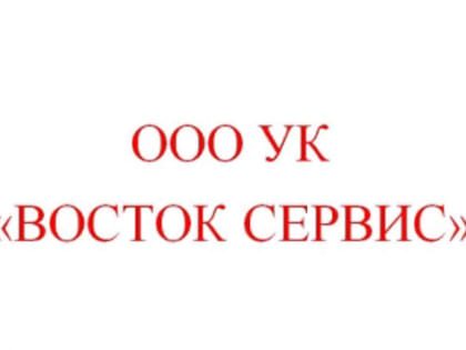 ООО УК «Восток сервис»