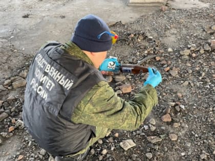 В Республике Тыва местная жительница признана виновной в совершении убийства знакомого