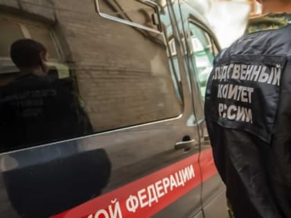 Жителю Каа-Хемского района предъявлено обвинение в совершении убийства знакомого