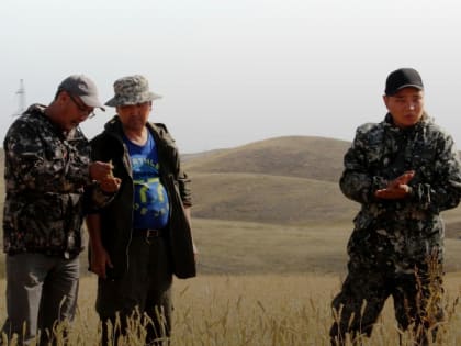 Минсельхоз Тувы напоминает аграриям о возможности возместить половину затрат на страховку урожая