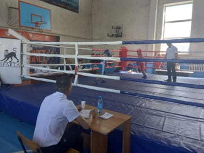В Барун-Хемчике стартовало Первенство Республики Тыва по боксу среди юношей 13-14 лет-