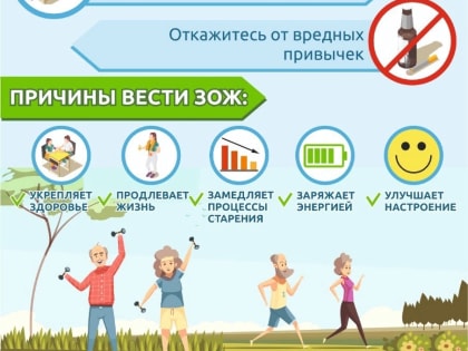 ОСНОВНЫЕ ПРИНЦИПЫ ЗОЖ