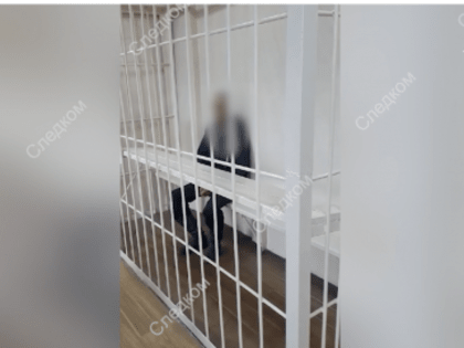 Житель Тувы, по вине которого погибла 6-летняя девочка, заключен под стражу