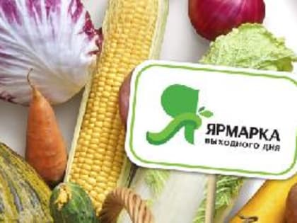 Специальная ярмарка выходного дня в Кызыле