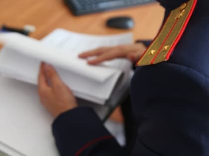 В Республике Тыва несовершеннолетним местным жителям предъявлены обвинения в совершении преступления против половой свободы 17-летней девушки