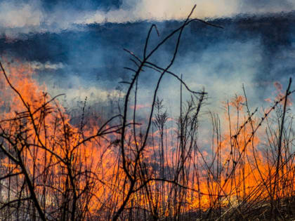 В Туве снизили внутренние авиатарифы на период ЧС