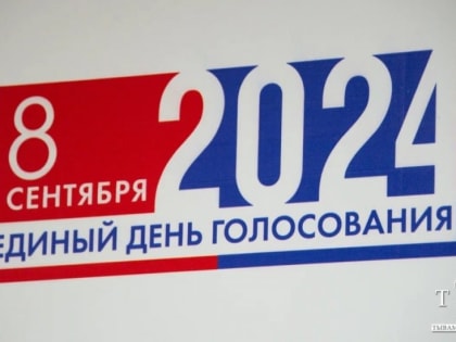 Предварительные результаты выборов в Туве