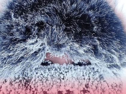 Как пережить морозы?