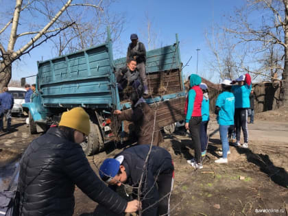 Тува в числе регионов-лидеров по посадке леса в этом году