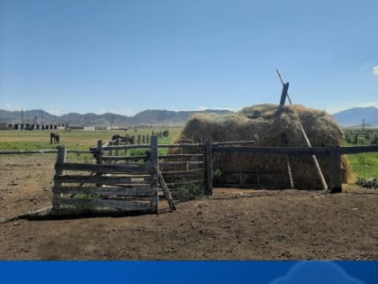 Новые инициативы по улучшению экологической ситуации в городе