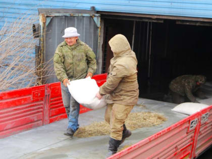 Минсельхозпрод Тувы помог кормами животноводам Эрзинского района