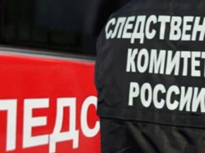 В Республике Тыва устанавливаются обстоятельства убийства малолетней девочки