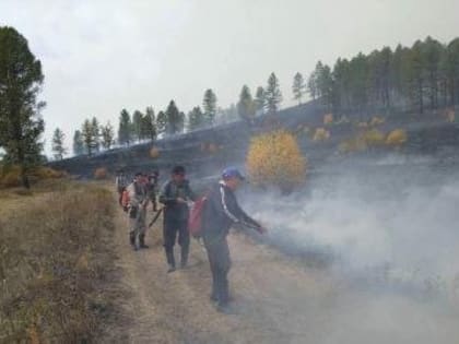 В Туве ограничения на посещение лесов будут действовать до 13 сентября
