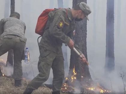 Лесные пожары в Туве: борьба с огнем продолжается