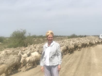 Сенатор Дина Оюн познакомилась с овцеводческим хозяйством в Дагестане