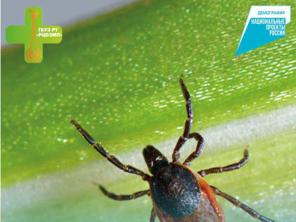 БОЛЕЗНИ, ПЕРЕДАВАЕМЫЕ ЧЕЛОВЕКУ ОТ ЖИВОТНЫХ ПРИ УКУСЕ КЛЕЩА