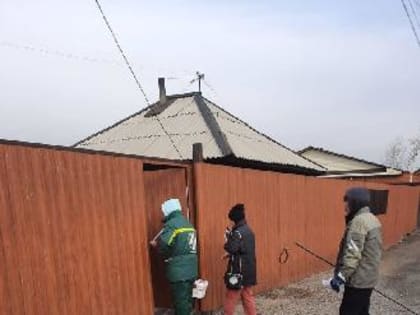 Карантин в Кызыле из-за бешенства животных