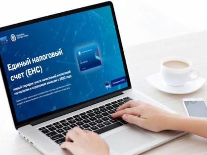 В справке о принадлежности сумм ЕНП отражаются все поступившие на ЕНС платежи и налоги, на которые они распределились