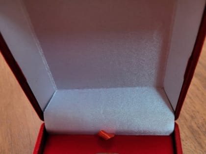 Республиканская школа искусств им. Р.Д. Кенденбиля в Туве названа «Лучшей школой для одаренных детей» в Санкт-Петербурге