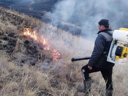 В Туве ввели полный запрет на посещение лесов