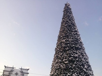 Кызылчан приглашают украсить своими игрушками главную городскую ель