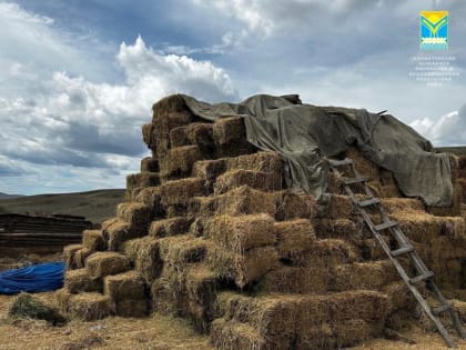 В заготовке кормов в Туве лидирую Тандинский и Чаа-Хольский районы