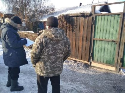 СОБАЧИЙ ВОПРОС: МЭРИЯ КЫЗЫЛА ПРОДОЛЖАЕТ ОБХОД ЧАСТНЫХ ДОМОВ