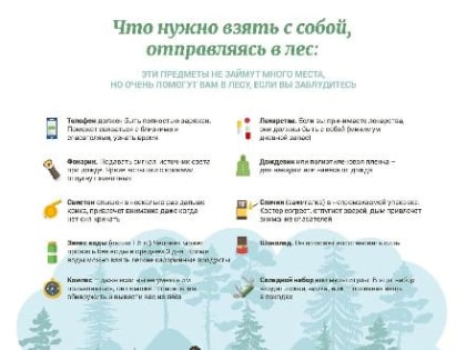 Правила безопасности в лесу