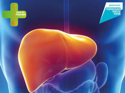 Стадии Гепатита С