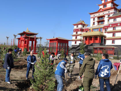 «Единая Россия» в честь Дня Рождения Президента РФ организовала посадку саженцев ели