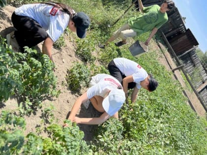 Активисты «Добрых Сердец Тувы» помогают семьям военнослужащих