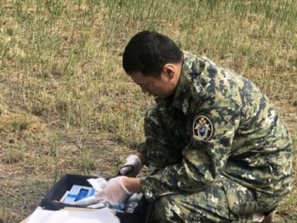 16-летний житель Тувы обвиняется в вымогательстве денег у одноклассников