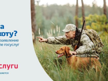 Жители Тувы начали получать разрешения на охоту в электронном виде