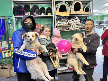 В «Кызыле» прошла ярмарка-раздача бездомных животных в рамках партийного проекта «Защита животного мира»