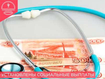 О специальных социальных выплатах медработникам первичного звена здравоохранения Тувы