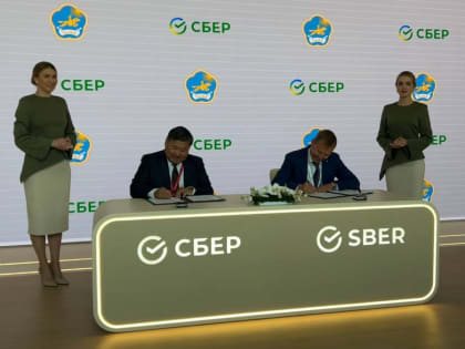 В Туве появится куратор AI-трансформации