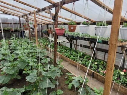 Проект добровольца СВО из Тувы Санчата Донмажапа работает в пгт Каа-Хем