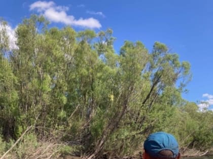 Трагедия на реке: в Туве утонул мальчик и скончался  отец, прыгнувший за сыном