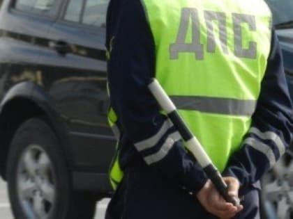 В Туве пьяный водитель пытался откупиться от инспекторов ДПС бараном