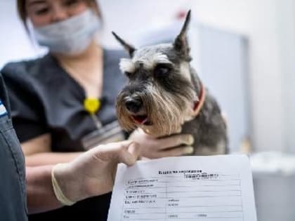 ЗАРЕГИСТРИРУЙ СВОЮ СОБАКУ В ВЕТЕРИНАРИИ, ЧТОБЫ НЕ ПОЛУЧИТЬ ШТРАФ!