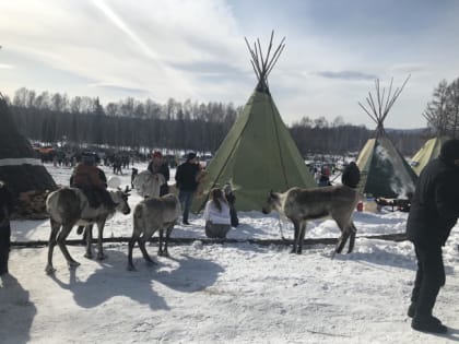 Торжественная регистрация брака в праздник оленеводов в Тоджинском районе