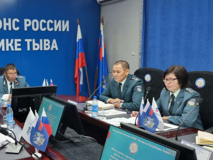 Рост налоговых поступлений в Республике Тыва за первое полугодие 2024 года