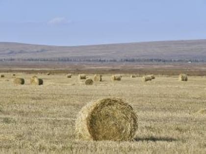 В Туве подходит к завершению кормозаготовительная кампания