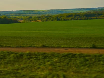 В Туве пострадавшие от наводнения смогут повторно посадить картофель