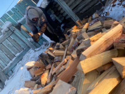 Статистики посчитали, в каком регионе Сибири самые дорогие дрова