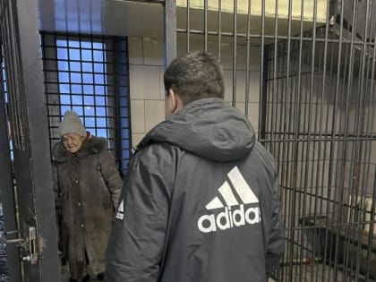 В праздники с улиц столицы Тувы ежедневно в вытрезвитель привозят сотню пьяных