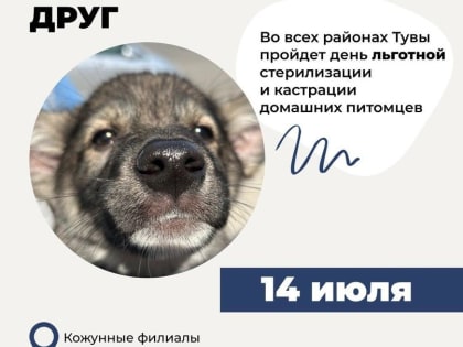 Завтра по всей Туве пройдет день льготной стерилизации домашних питомцев